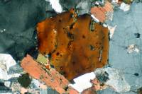 Biotite automorphe LPA x10